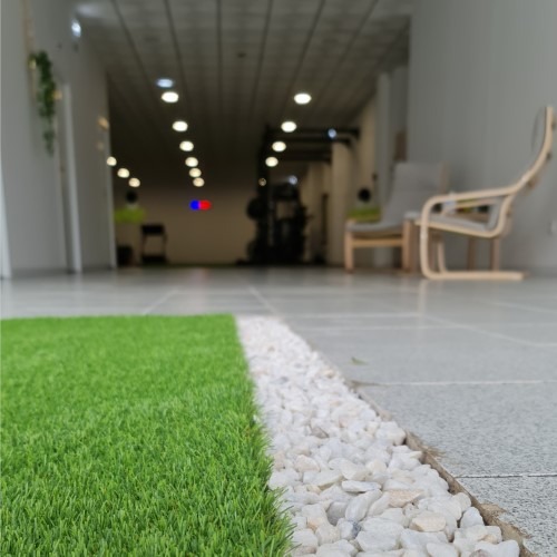 Espaço interior da ForFive Academy em Estremoz com ambiente tranquilo